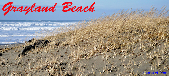 Grayland beach